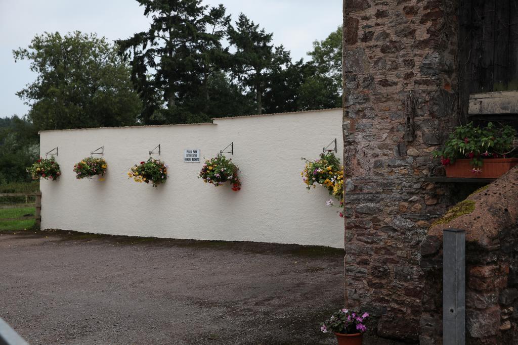 Bed and Breakfast Weir Mill Farm Cullompton Esterno foto